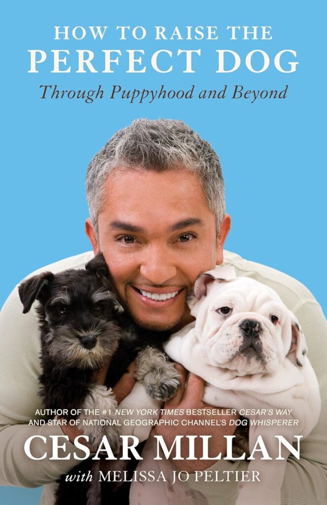 Expert Tips for Raising the Perfect Dog: Your Guide to Puppyhood and Beyond!